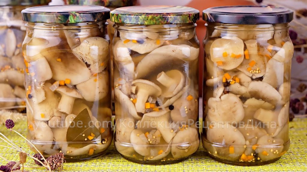 🍄Маринованные лесные грибы - Рядовка дымчатая или Говорушка дымчато-серая на зиму 🍁🍂 🍄Маринованные лесные грибы - Рядовка дымчатая или Говорушка дымчато-серая на зиму 🍁🍂