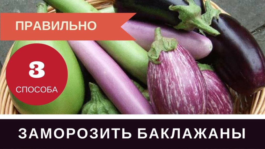 Как Правильно Заморозить Баклажаны на Зиму: Три Способа Баклажаны в Морозилку Как Правильно Заморозить Баклажаны на Зиму: Три Способа Баклажаны в Морозилку