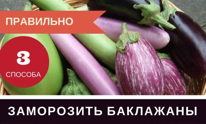 Как Правильно Заморозить Баклажаны на Зиму: Три Способа Баклажаны в Морозилку Как Правильно Заморозить Баклажаны на Зиму: Три Способа Баклажаны в Морозилку