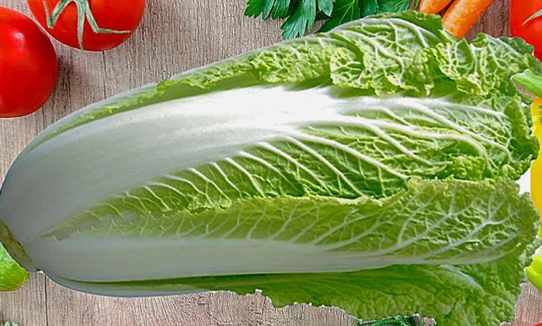 Салат с пекинской капустой и курицей, быстрый и легкий рецепт