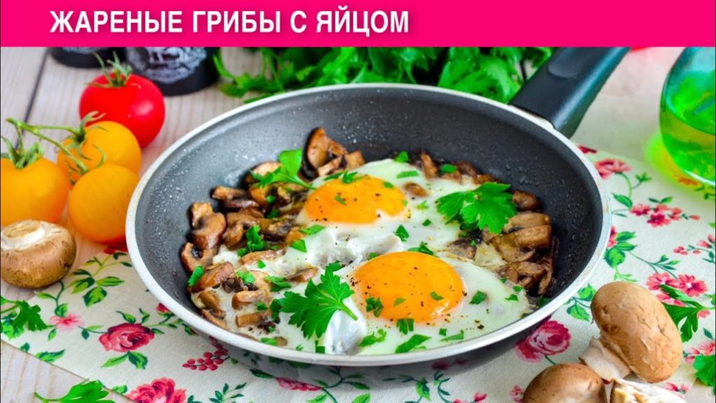 КАК ПРИГОТОВИТЬ ЖАРЕНЫЕ ГРИБЫ С ЯЙЦОМ? Быстрый и вкусный завтрак или ужин КАК ПРИГОТОВИТЬ ЖАРЕНЫЕ ГРИБЫ С ЯЙЦОМ? Быстрый и вкусный завтрак или ужин
