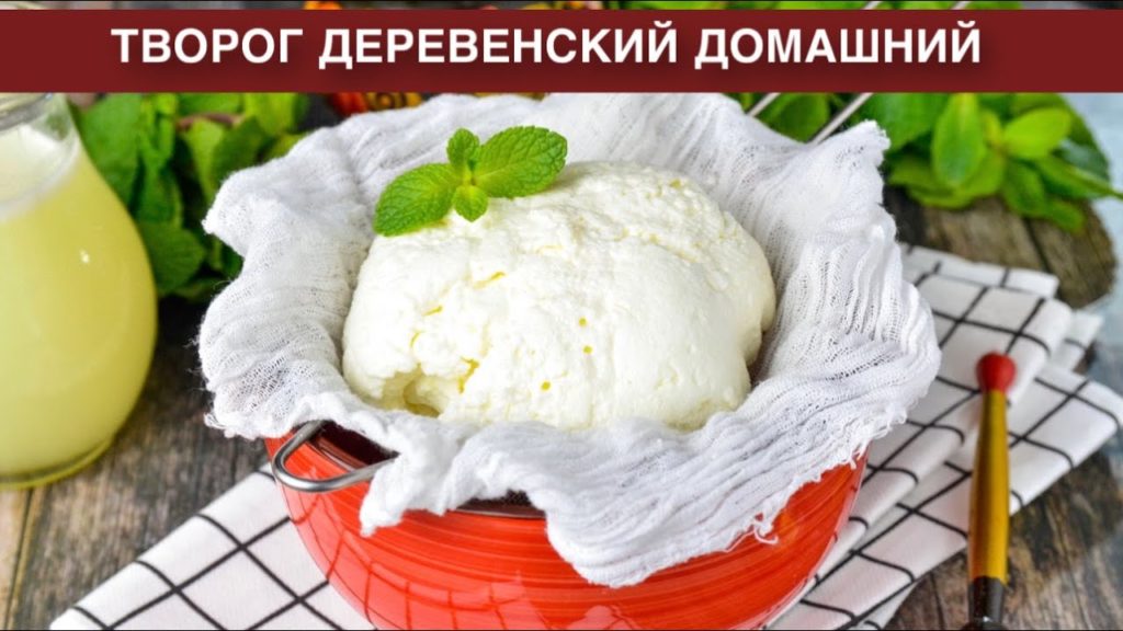 КАК ПРИГОТОВИТЬ ТВОРОГ ДЕРЕВЕНСКИЙ ДОМАШНИЙ? Вкусный и полезный, из коровьего цельного молока КАК ПРИГОТОВИТЬ ТВОРОГ ДЕРЕВЕНСКИЙ ДОМАШНИЙ? Вкусный и полезный, из коровьего цельного молока