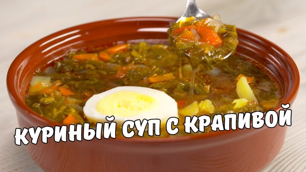 Куриный суп с крапивой: сжигай жиры и наслаждайся вкусом! Рецепт от Всегда Вкусно! Куриный суп с крапивой: сжигай жиры и наслаждайся вкусом! Рецепт от Всегда Вкусно!
