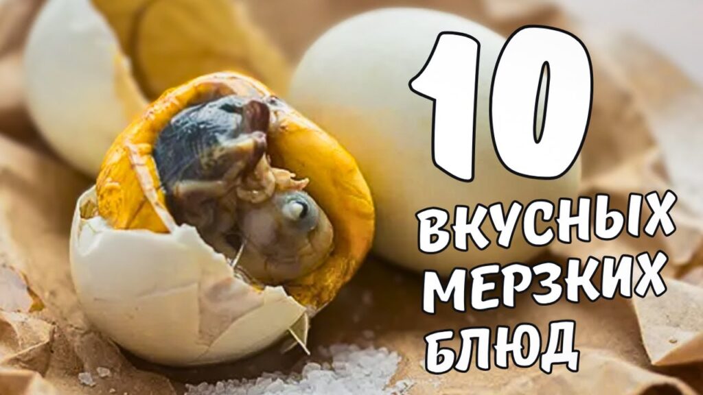 Не для слабонервных: 10 самых интересных необычных блюд в мире. Необычная еда! Не для слабонервных: 10 самых интересных необычных блюд в мире. Необычная еда!